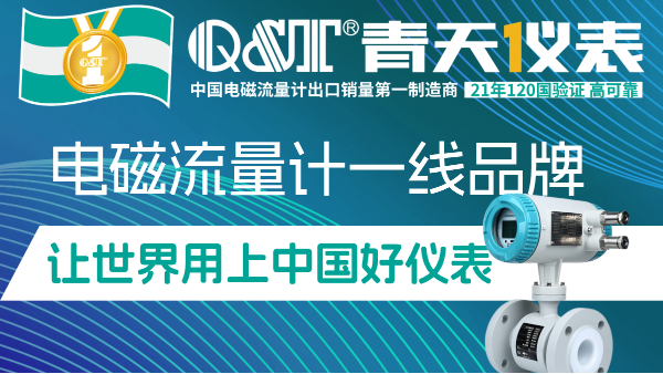 2026国产电磁流量计实力排行榜（通俗解析版）